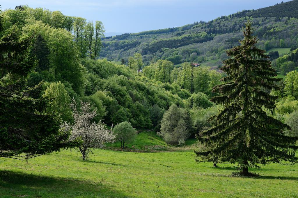 Готель Vvf Les Fontaines Des Vosges Saales Екстер'єр фото